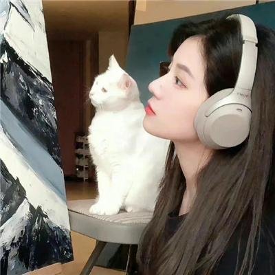 严重无视